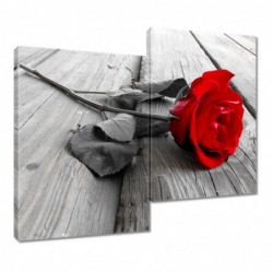 Obraz 80x70cm Czerwona róża...