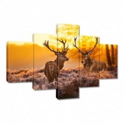 Obraz 100x70cm Jelenie o...