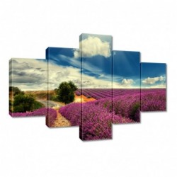 Obraz 100x70cm Lawendowy...