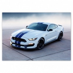 Plakat 100x70 Ford Mustang...