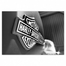 Plakat 100x70 Logo Harley...
