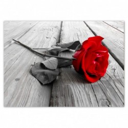 Plakat 70x50cm Czerwona...