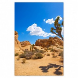 Plakat 62x93cm Kaktus na...