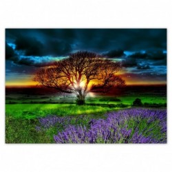 Plakat 70x50cm Drzewo życia