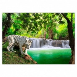 Plakat 70x50cm Tygrys przy...