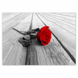 Plakat 70x50cm Czerwona...