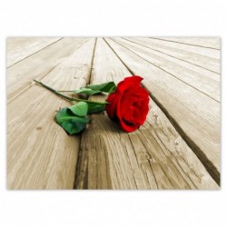 Plakat 70x50cm Czerwona...