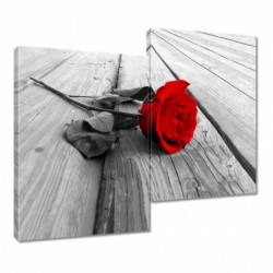 Obraz 80x70cm Czerwona róża...