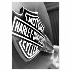 Plakat 70x100 Logo Harley...