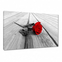Obraz 60x40cm Czerwona róża...