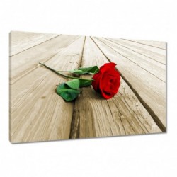 Obraz 60x40cm Czerwona róża...