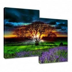 Obraz 80x70cm Drzewo życia