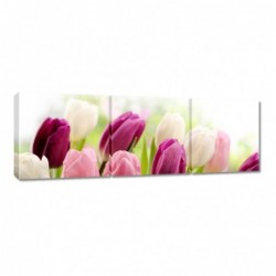 Obraz 120x40cm Piękne tulipany