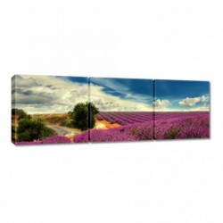 Obraz 150x50cm Lawendowy...