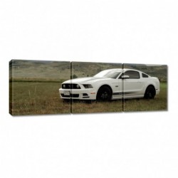 Obraz 150x50cm Biały Ford...