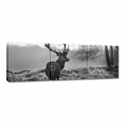 Obraz 150x50cm Czarno-biały...