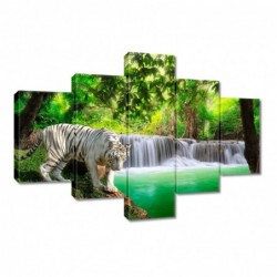 Obraz 100x70cm Tygrys przy...