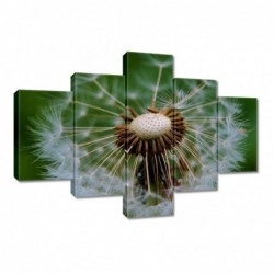 Obraz 100x70cm Dmuchawiec...