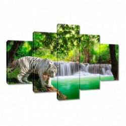 Obraz 150x105cm Tygrys przy...