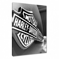 Obraz 40x60cm Logo Harley...