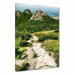 Obraz 40x60cm Tatry Polskie...