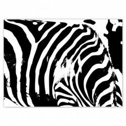 Plakat 135x100cm Zebra...