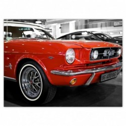 Plakat 135x100cm Czerwony...