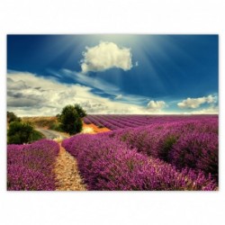 Plakat 135x100cm Lawendowy...