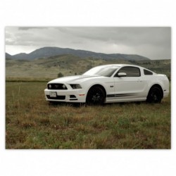 Plakat 135x100cm Biały Ford...