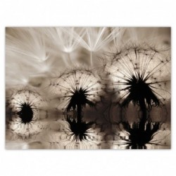 Plakat 135x100cm Dmuchawce...