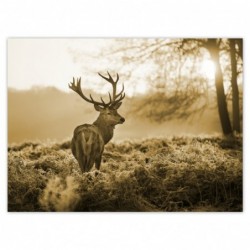 Plakat 135x100cm Jeleń w lesie