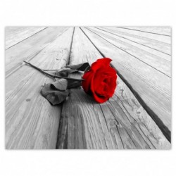 Plakat 135x100cm Czerwona...