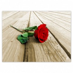 Plakat 135x100cm Czerwona...