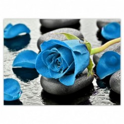 Plakat 135x100cm Niebieska...