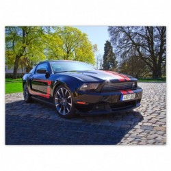 Plakat 135x100cm Ford...