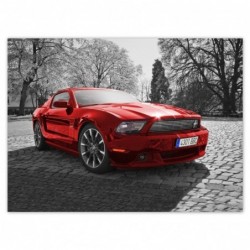 Plakat 135x100cm Czerwony...