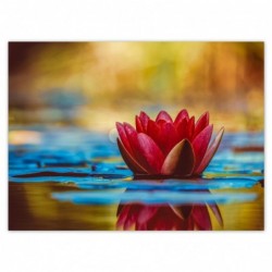 Plakat 135x100cm Lilia...
