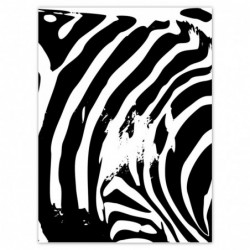 Plakat 100x135cm Zebra...