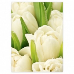 Plakat 100x135cm Delikatne...