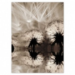 Plakat 100x135cm Dmuchawce...