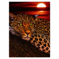 Plakat 100x135cm Lampart...