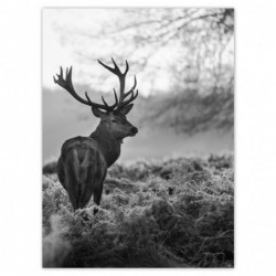 Plakat 100x135cm...