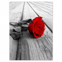 Plakat 100x135cm Czerwona...