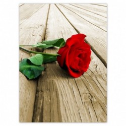 Plakat 100x135cm Czerwona...
