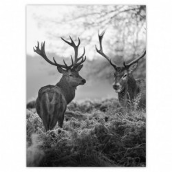 Plakat 100x135cm...
