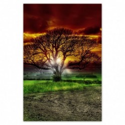Plakat 62x93 Magiczne...