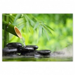 Plakat 200x135cm Sanus per...