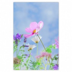 Plakat 62x93 Delikatne kwiatki