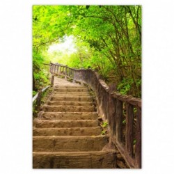 Plakat 62x93 Schody do lasu
