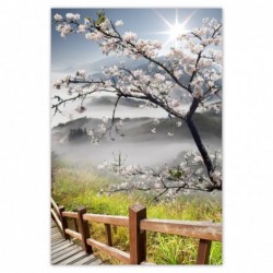 Plakat 62x93 Japonia...